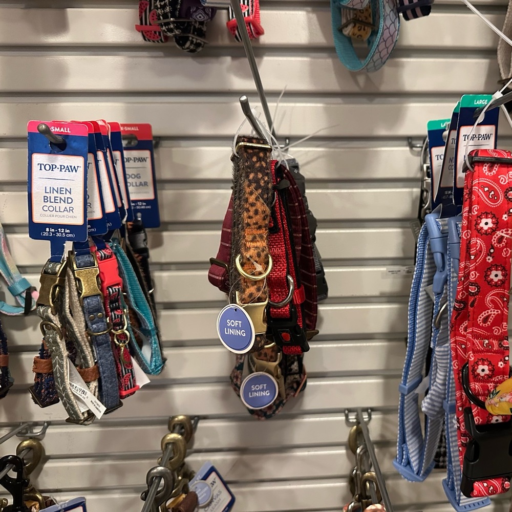 Dog collars (price for 3) - Picture 2 of 7